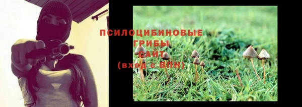 mix Рославль