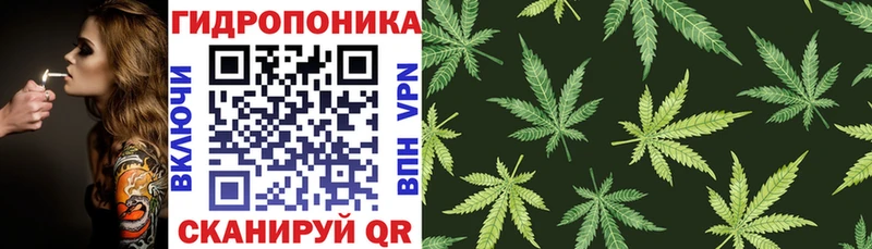 Шишки марихуана ГИДРОПОН  Грязи 